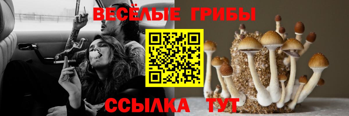 Трёхгорный  Псилоцибиновые грибы MAGIC MUSHROOMS  Вход с VPN 
