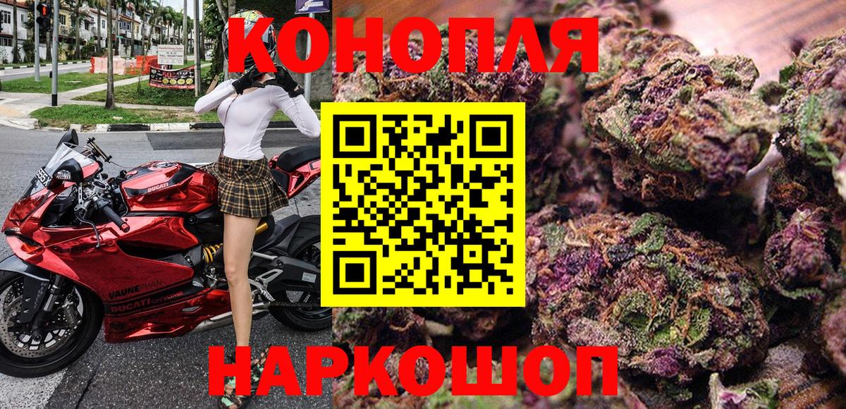 Каннабис OG Kush Трёхгорный